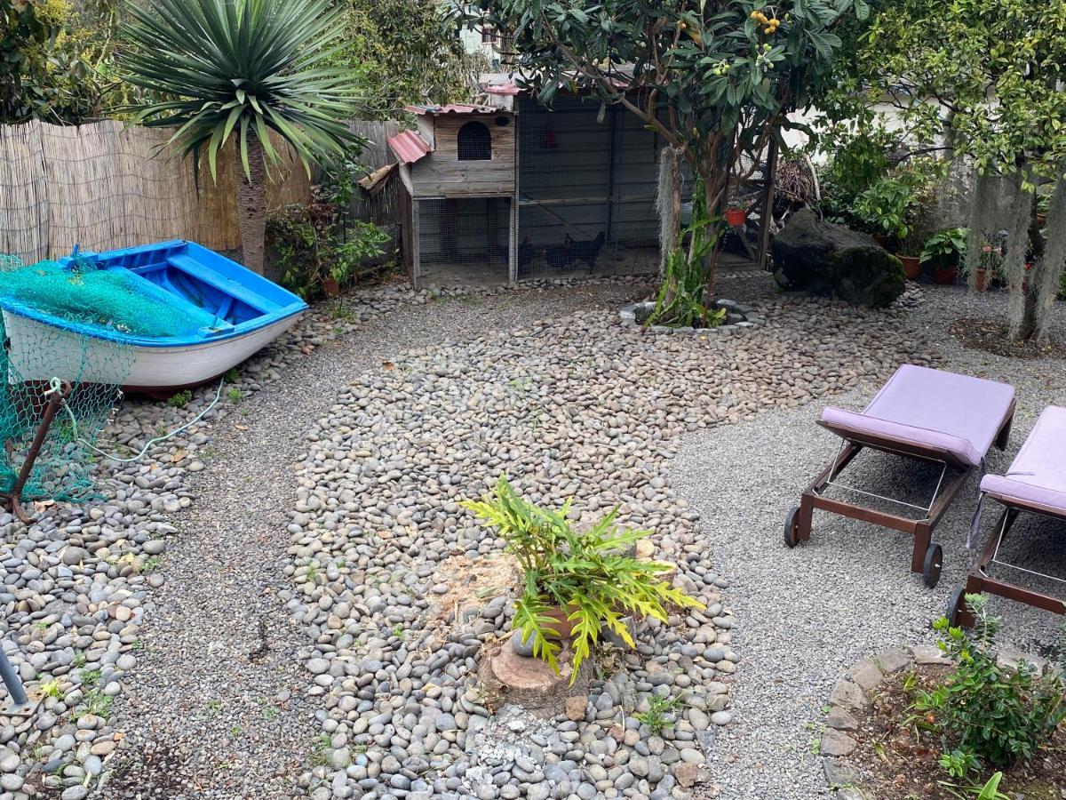 Cottage Quinze, Contemporary Designed Cottage With Swimming Pool Ponta Delgada  Exterior photo